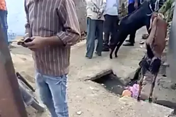 Pasgeboren baby uit riool gevist