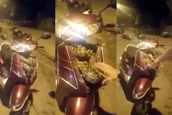 Python van ruim 180 centimeter om scooter gekruld