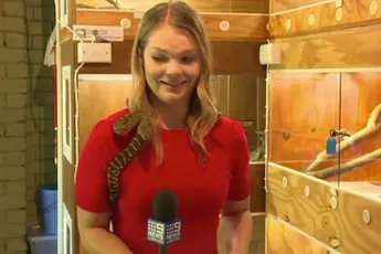 Slang heeft het voorzien op microfoon van Australische verslaggeefster