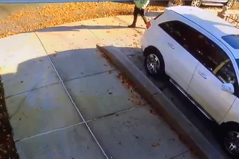 Steeds terugkerende hondenpoep op de stoep blijkt niet van hond te zijn