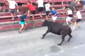 Stieren nemen deelnemer aan feesten van San Fermin te grazen
