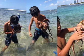 Tienjarig ventje killt octopus door hem te bijten