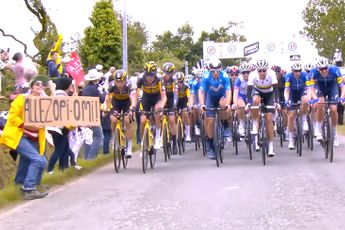Toeschouwer met kartonnen bordje haalt wielrenners Tour de France onderuit