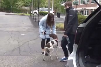 Verslaggeefster ziet dognapper lopen met gestolen hond