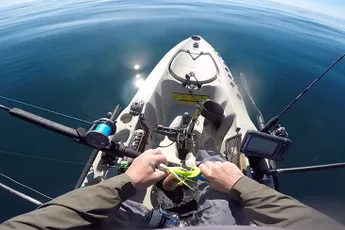 Visser krijg demonstratie van stoot van Mantis Shrimp