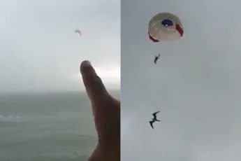 Wat je dus niet wilt tijdens parasailen: Touw knapt en vrouw vliegt weg