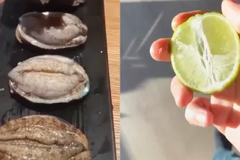 We garanderen niets, maar om oester te openen zou je dit kunnen proberen