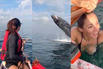 Wow, van dichterbij ga je echt niet een walvis zien in Rio de Janeiro