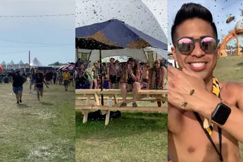 Zwerm bijen brengt ook bezoek aan Michigan Music Festival