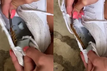 Pssst, zit een mega duizendpoot in je sneaker…