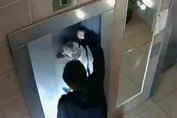 Held zonder cape weet hondje te redden in Moskou