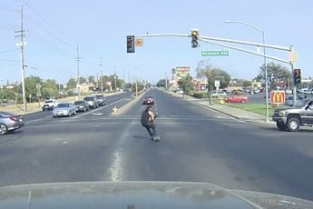 Dwaas op skateboard met hondje in zijn armen denkt dat rood verkeerslicht niet voor hem geldt