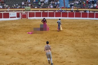 Danny Ghosen volgt Vegan streaker tijdens verstoren stierengevecht in Spanje