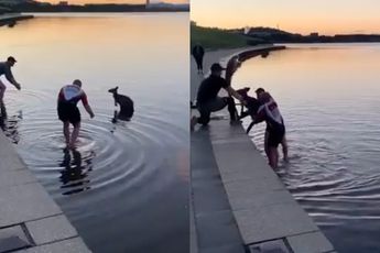 Mannen redden bange kangoeroe uit ijskoud water in Australië