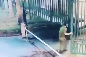 Chef hek weet zichzelf lekker bezig te houden