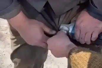 Slijptol had deze beunhaas bijna bij z’n ballen