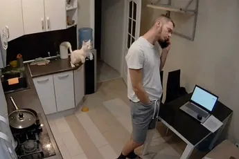 Waarom katten dus gewoon eigenlijk t*ringbeesten zijn!