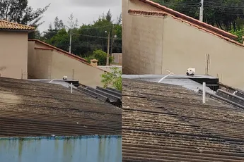 Hondpoes gespot in het Braziliaanse Rio de Janeiro