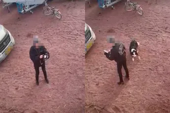 Ondertussen in Friesland: Ook het vervolg heeft duidelijk ondertiteling nodig