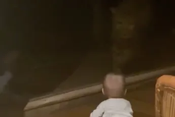 Als een raam je koter van een jachtluipaard redt