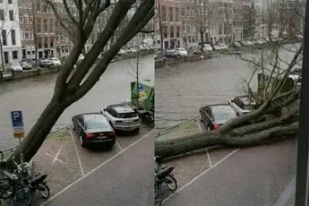 Boom waait om door storm Eunice: 'Jeetje heb je het gefotografeerd'