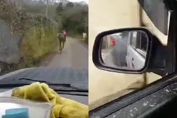 Chauffeur blaast fietsers onder de zwarte rook: "Get smoked boys"