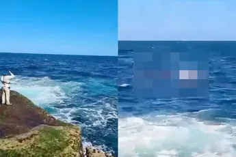 Gruwelijk moment op video vastgelegd dat zwemmer opgegeten wordt door haai bij Sydney