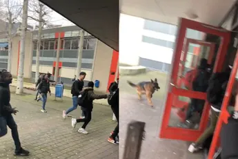 LOL! Alle mensen op schoolplein in Amsterdam vluchten voor hond