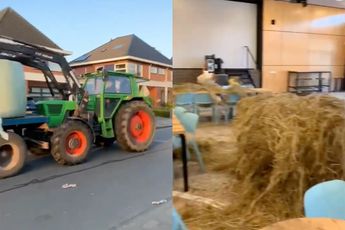 In Oldenzaal is een school omgebouwd tot boerderij voor Examenstunt 2022