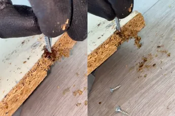 Vrouw werd gebeten in bed door beestjes, plank zit vol met bedwantsen