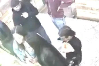 Mini en Maxi zakkenrollers hardhandig tent uit geholpen