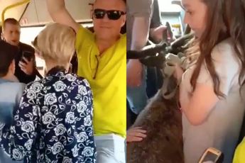 Hert in de bus levert nogal een discussie op