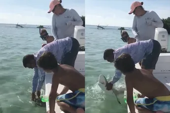 Haai bijt 'pinky' af van man tijdens vistrip met zijn familie