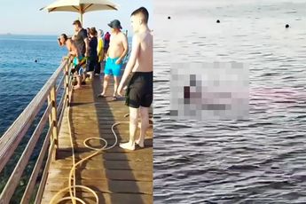 Vrouw gestorven na aanval van haai in Egypte, toeristen zien gebeurtenis vanaf steiger