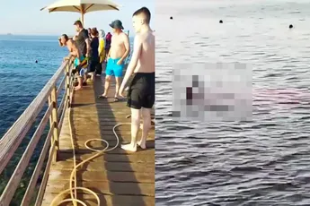 Vrouw gestorven na aanval van haai in Egypte, toeristen zien gebeurtenis vanaf steiger