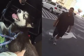 Agent in Las Vegas niet blij met baasje die hond in de auto liet zitten