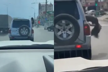 Uit auto hangen kan hoofdpijn opleveren