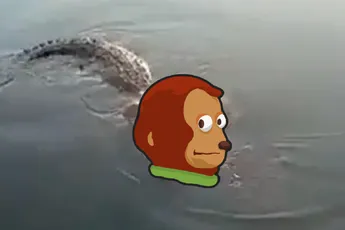 Krokodil is aan het flexen met zijn gevangen Mexicaan