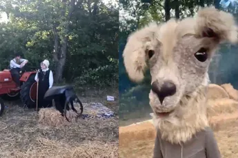 Je was misschien van de kaart, maar er was ook complete vaagheid op Mysteryland