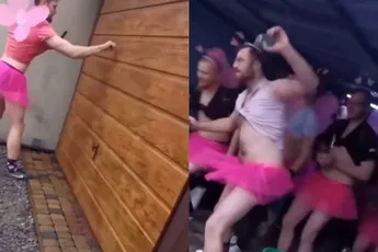 Vlinder heeft hoofdpijn