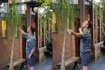 Als je drugs ineens heel erg hun werk gaan doen