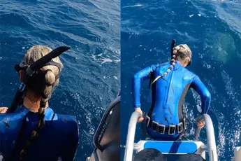 Haai komt even haai zeggen