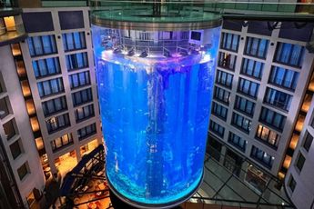 Oeps, reusachtig aquarium in Radisson Berlijn opengebarsten