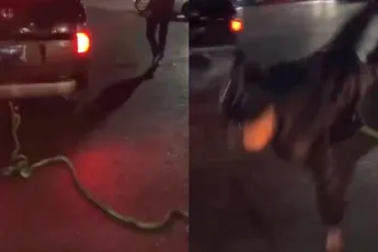 En zo leert een jongeman een wijze les over sleepkabels