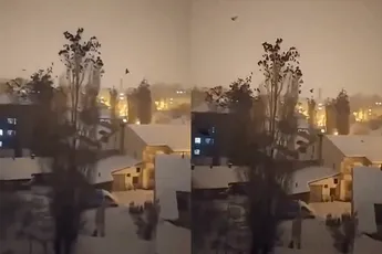 Vogels in Turkije vertoonden vreemd gedrag en leken aardbeving aan te kondigen