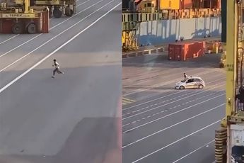 Zit je lekker in je kraan in de haven van Antwerpen, ineens volop actie met uithalers