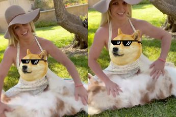 Britney Spears wil dat we even naar haar “hond” kijken
