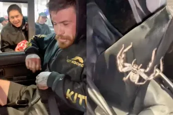 Aussies toch ook wel onder de indruk van gigantische spin in de auto