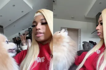 Als je hond begint de janken om poentje