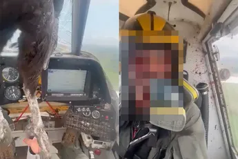Vogel hangt in sproeivliegtuig na botsing in de lucht